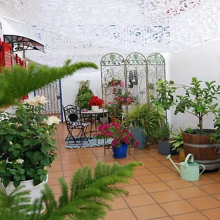 Apartment Espectacular Estudio Loft Chill Out By The Sea *